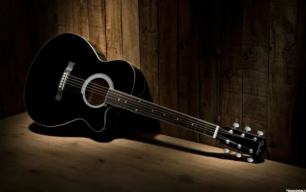  عکس گیتار مشکی زیبا