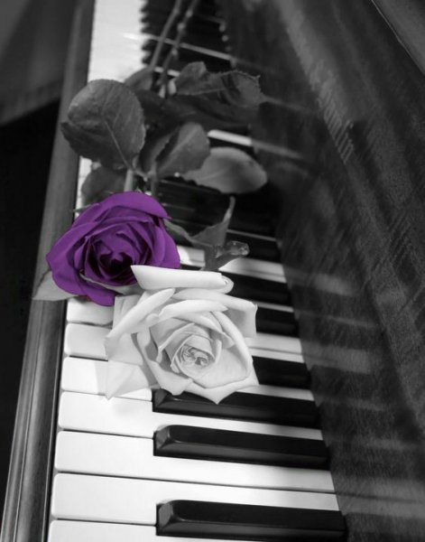  عکس پیانو کیوت