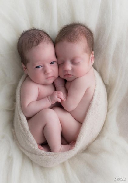  عکس دختر دوقلو خوشگل