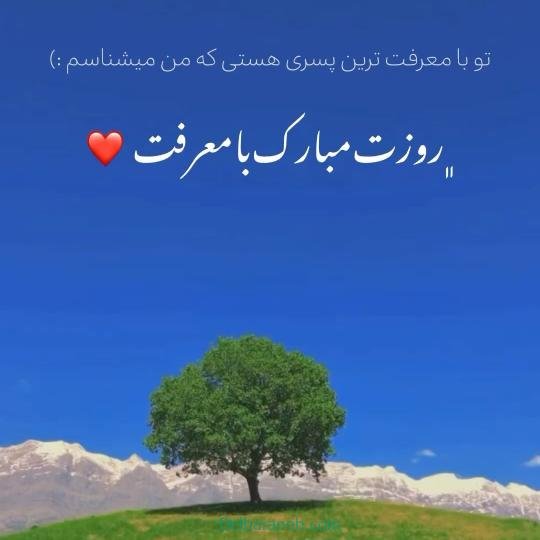  استوری روز پسر