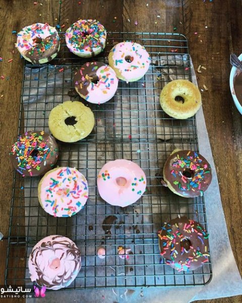  عکس دونات کیوت