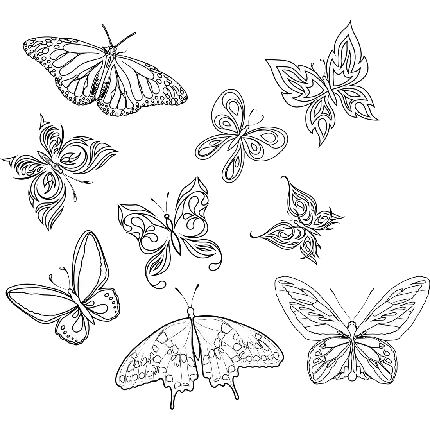  عکس تتو طرح پروانه های در حال پرواز