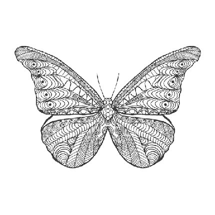  دانلود تصویر خالکوبی طرح پروانه و گل