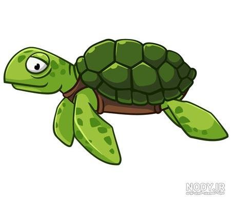  عکس لاک پشت کارتونی