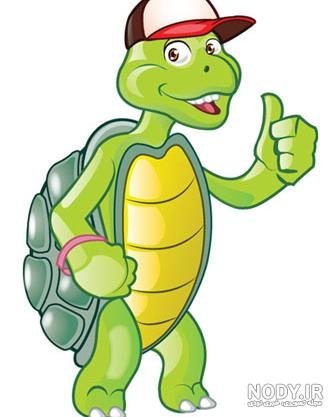  عکس لاک پشت کارتونی