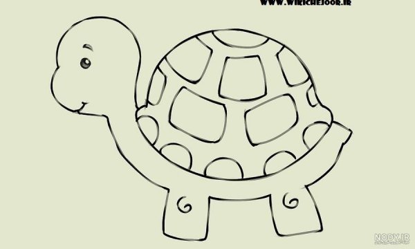  عکس لاک پشت کارتونی