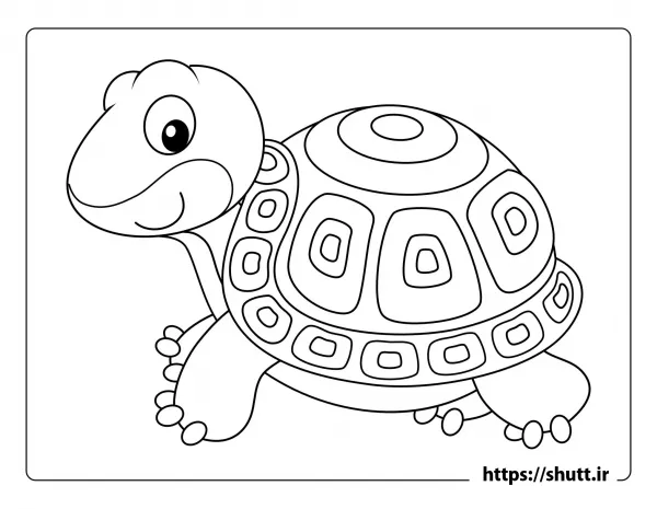 عکس لاک پشت نقاشی آسان