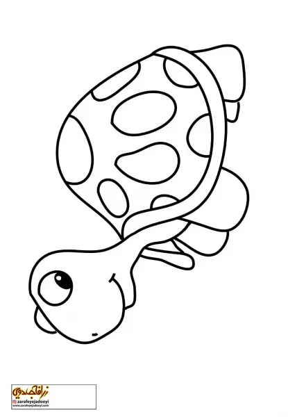  عکس لاک پشت نقاشی آسان