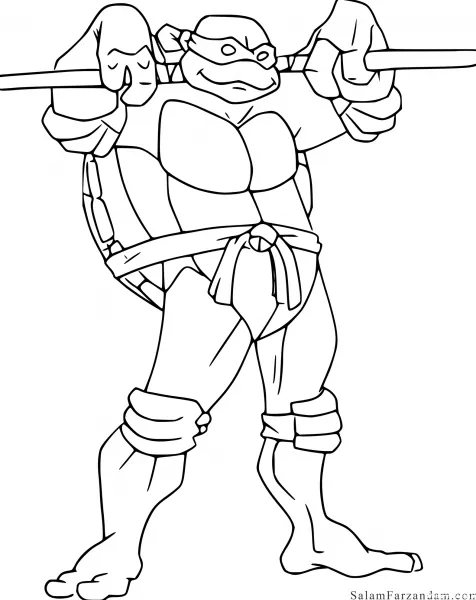  عکس لاک پشت نقاشی آسان