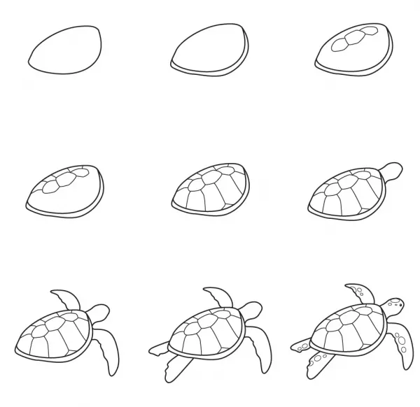  عکس لاک پشت نقاشی آسان