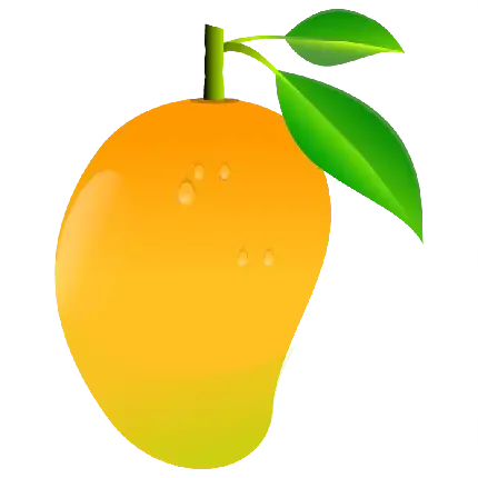  عکس انواع انبه برای پروفایل