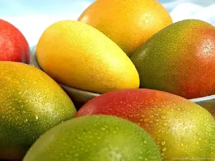  عکس انواع انبه برای پروفایل