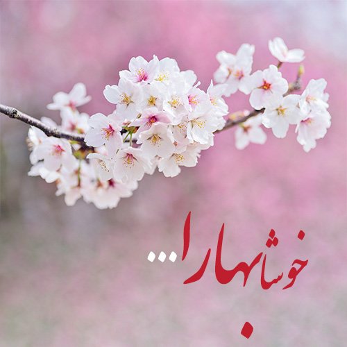  استوری تبریک عید 1405