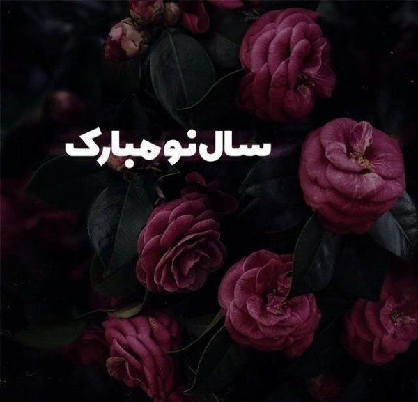  استوری تبریک عید 1405