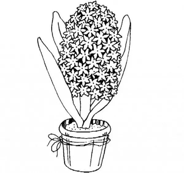  عکس سفره هفت سین کودکانه نقاشی