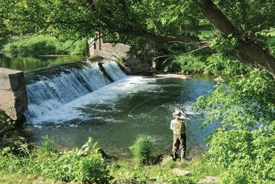  عکس پروفایل سالمندان