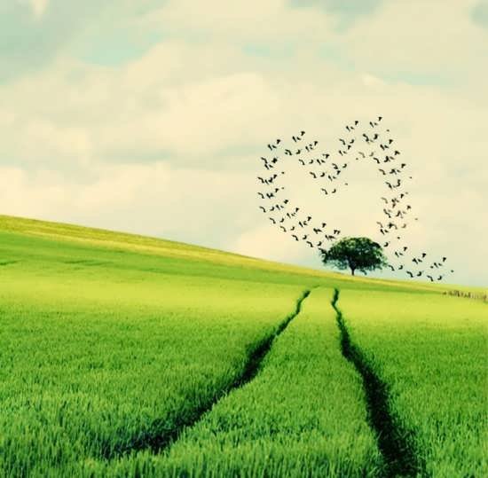  عکس پروفایل سالمندان