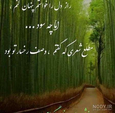  عکس روز شعر و ادب پارسی برای استوری