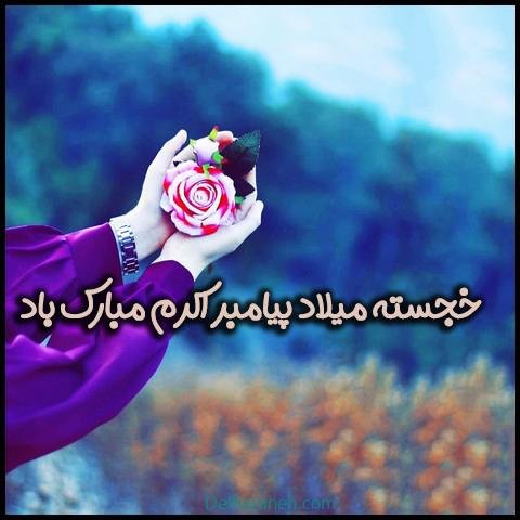  عکس نوشته تبریک میلاد پیامبر (ص)