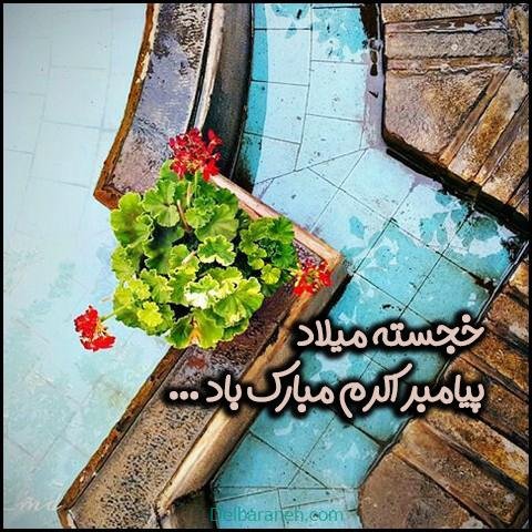  عکس نوشته تبریک میلاد پیامبر (ص)
