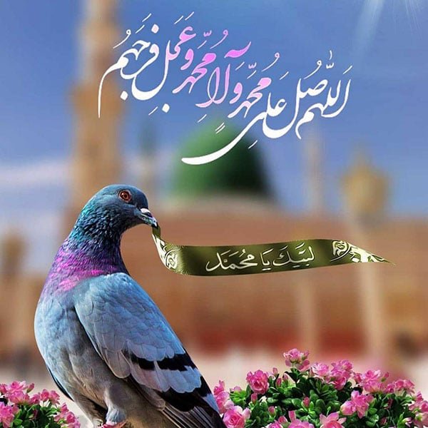  عکس نوشته تبریک میلاد پیامبر