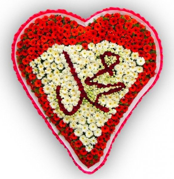  پروفایل حضرت محمد را دوست دارم