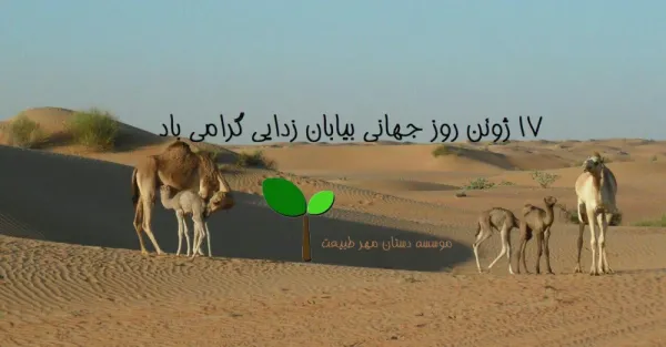  عکس نوشته روز جهانی بیابان زدایی برای استوری