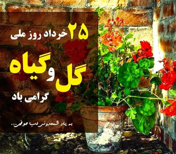 پوستر روز مباهله