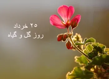 پوستر روز مباهله