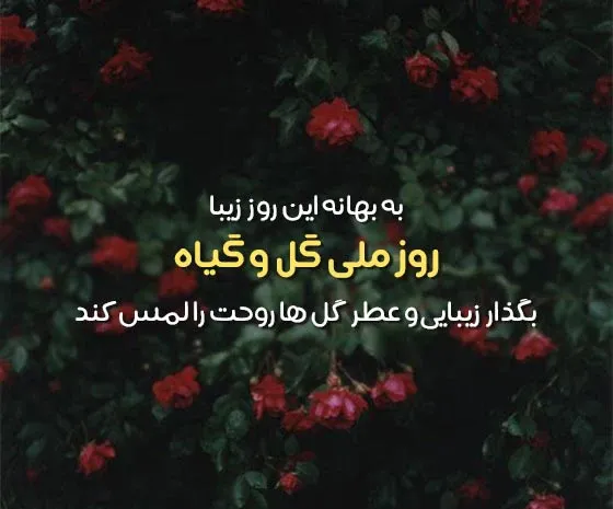 پوستر روز مباهله