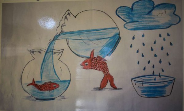  عکس صرفه جویی در مصرف آب کودکانه