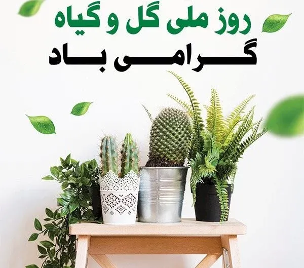  عکس روز جهانی گل و گیاه برای استوری
