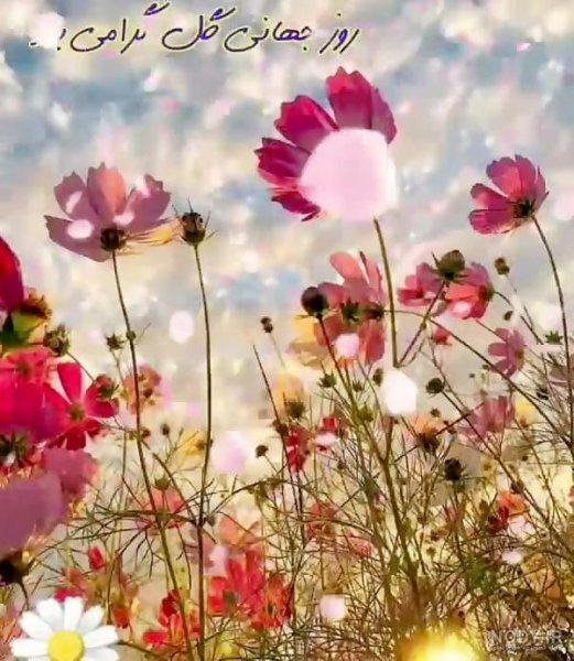  عکس روز جهانی گل و گیاه برای استوری