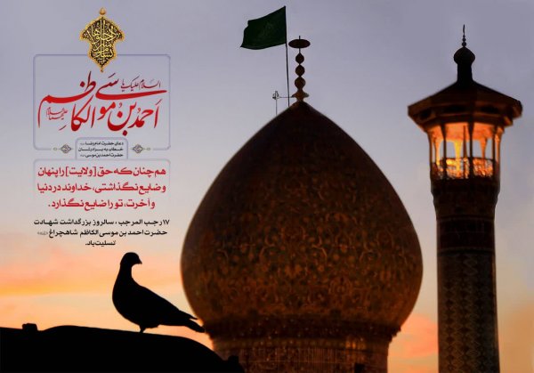  عکس بزرگداشت حضرت شاهچراغ استوری