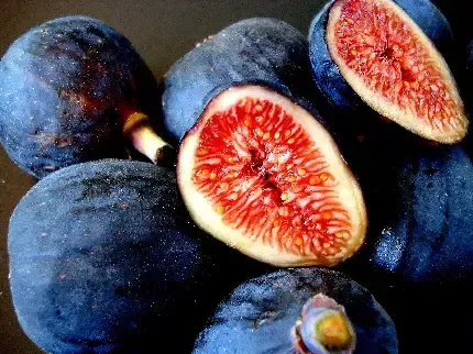  عکس انجیر سیاه تازه با کیفیت بالا