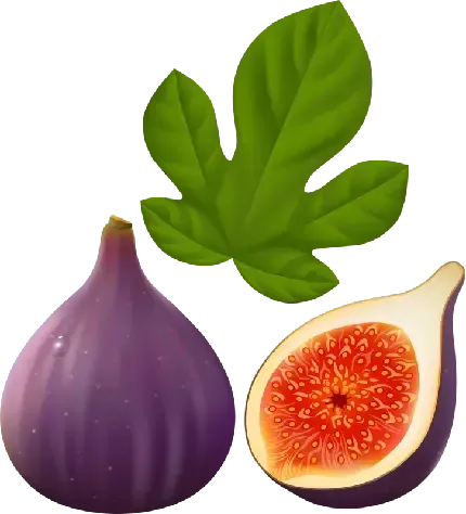  عکس انجیر سیاه تازه با کیفیت بالا