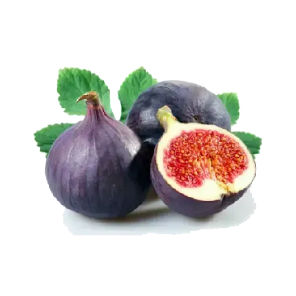  عکس انجیر سیاه تازه با کیفیت بالا