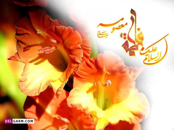 عکس تبریک روز دخترو تولد حضرت معصومه