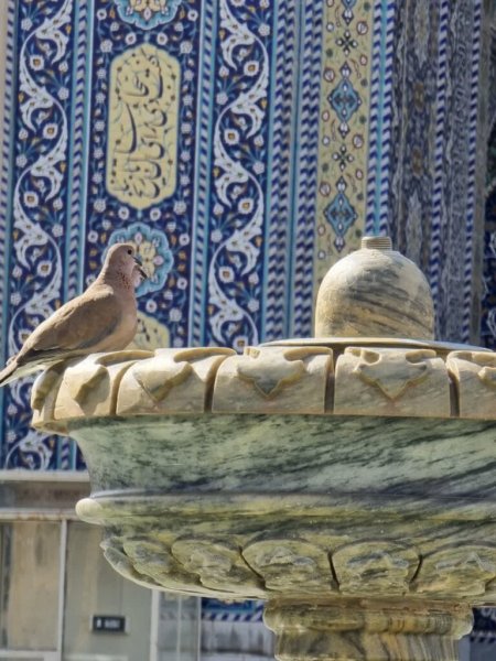  عکس حرم حضرت معصومه برای استوری