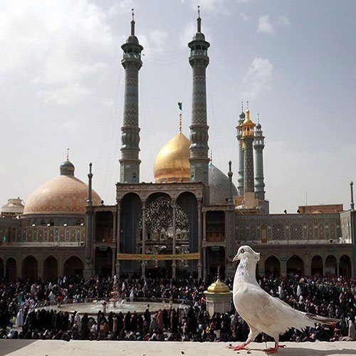 عکس حرم حضرت معصومه برای استوری