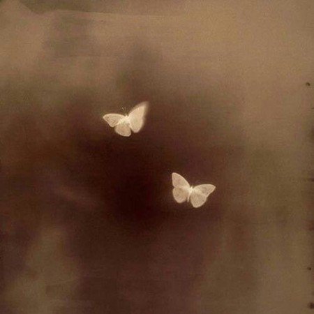  عکس قهوه ای کلاسیک