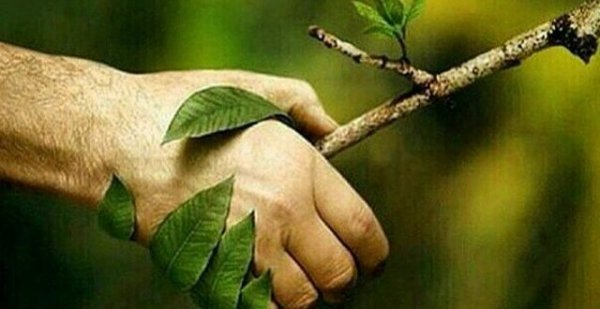  عکس تبریک روز طبیعت جدید