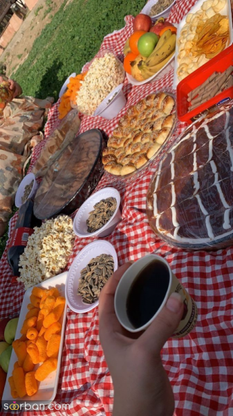  عکس سیزده بدر در طبیعت