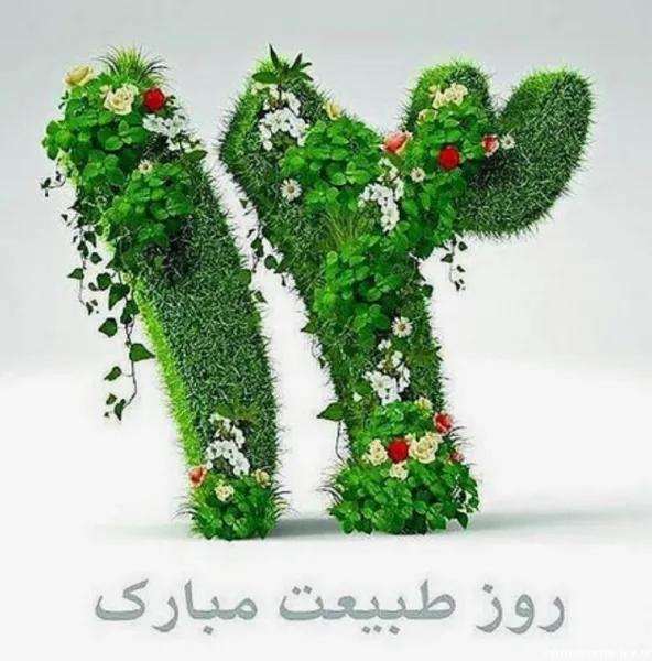 عکس ۱۳ بدر مبارک