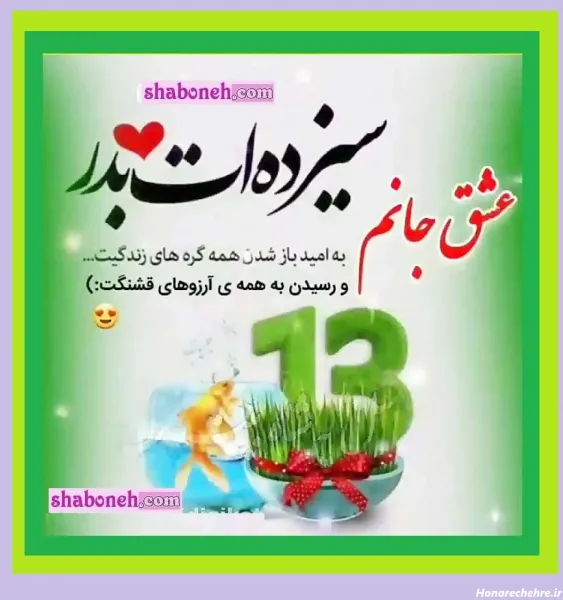  عکس ۱۳ بدر مبارک