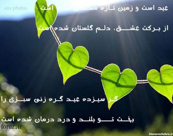  عکس ۱۳ بدر مبارک