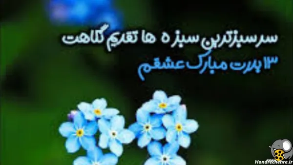  عکس ۱۳ بدر مبارک