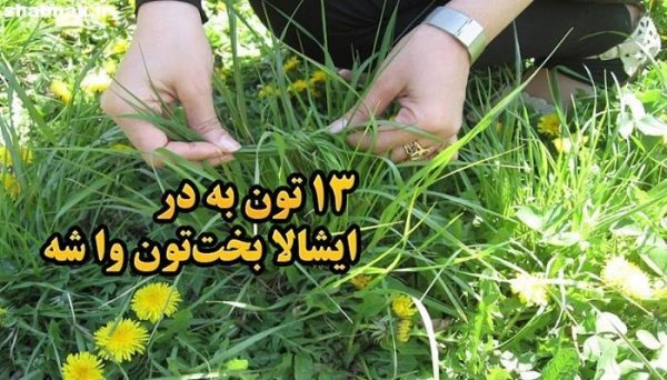تبریک روز طبیعت