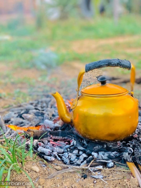 عکس سیزده بدر کارتونی