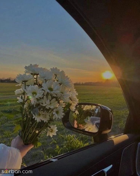 عکس سیزده بدر کارتونی